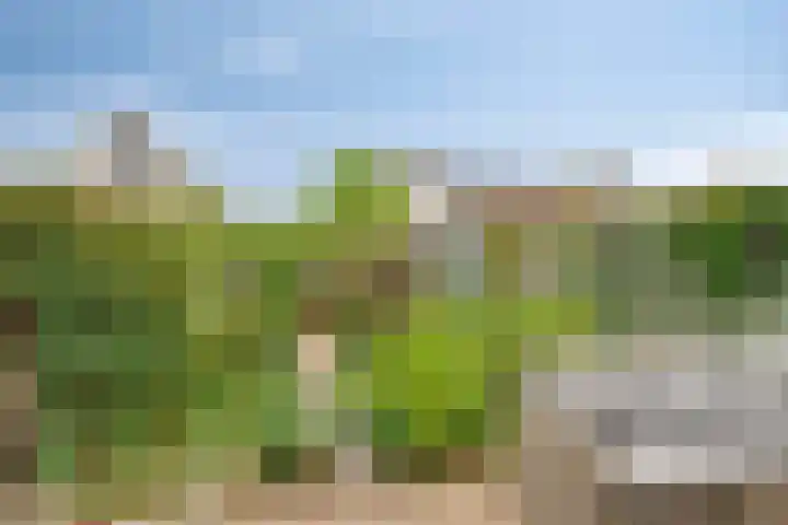 Spekdam 4 Kortgene thumbnail 27