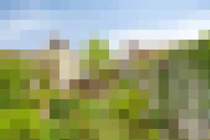 Spekdam 4 Kortgene thumbnail 28