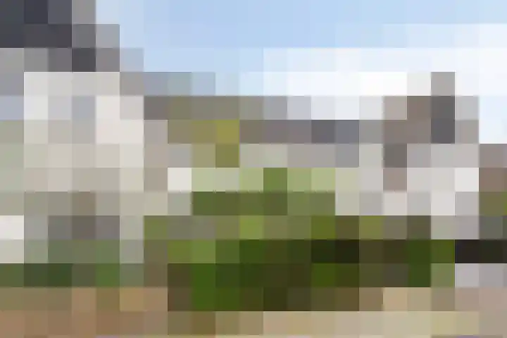 Spekdam 4 Kortgene foto 3