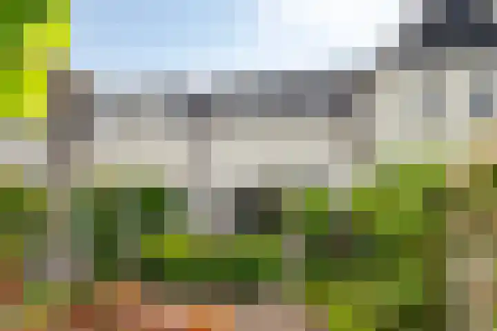 Spekdam 4 Kortgene thumbnail 30