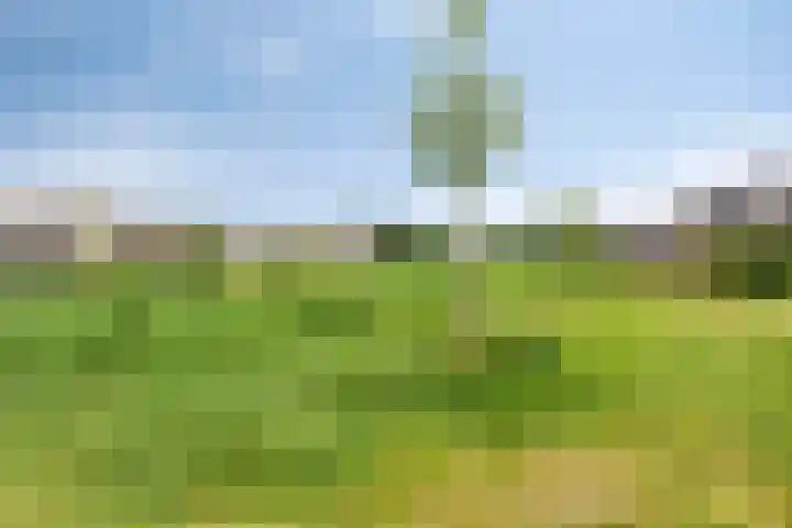 Spekdam 4 Kortgene thumbnail 31