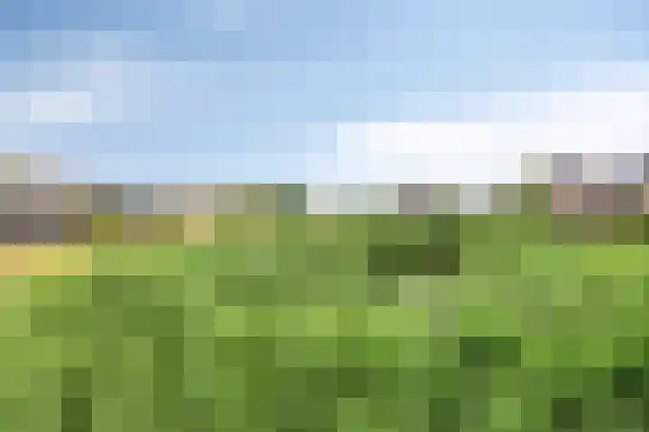 Spekdam 4 Kortgene thumbnail 32