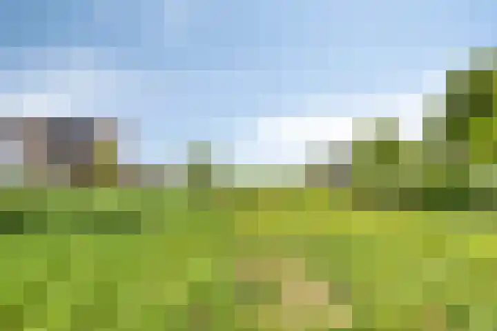 Spekdam 4 Kortgene thumbnail 33