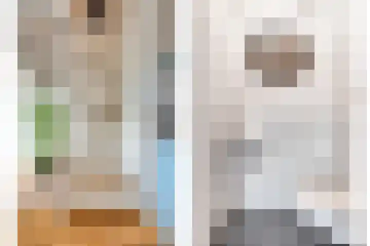 Spekdam 4 Kortgene thumbnail 6