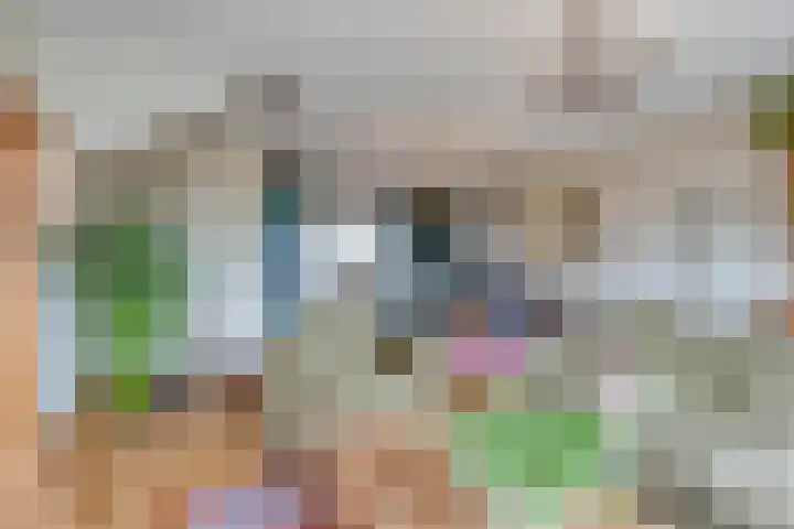 Spekdam 4 Kortgene thumbnail 9