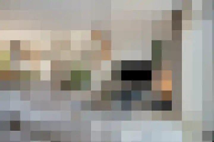 Spekdam 8 Kortgene thumbnail 12