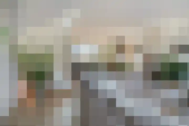 Spekdam 8 Kortgene thumbnail 13