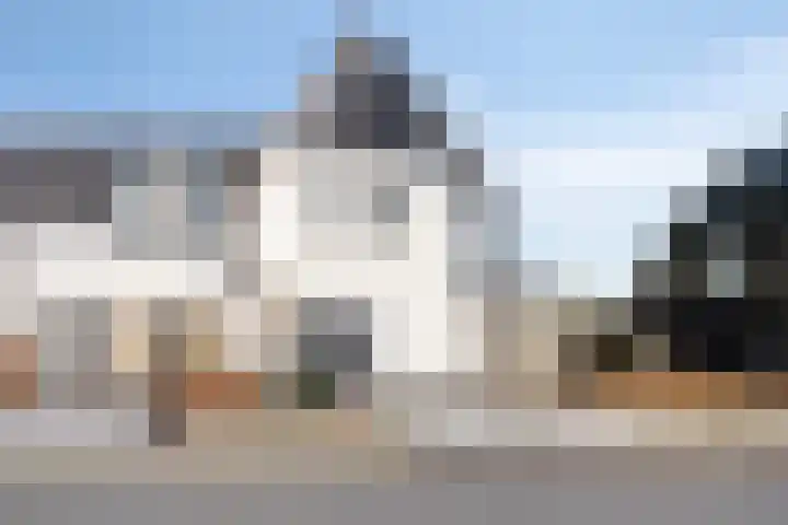 Spekdam 8 Kortgene foto 2