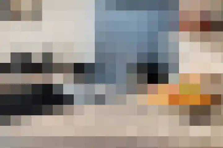 Spekdam 8 Kortgene thumbnail 20