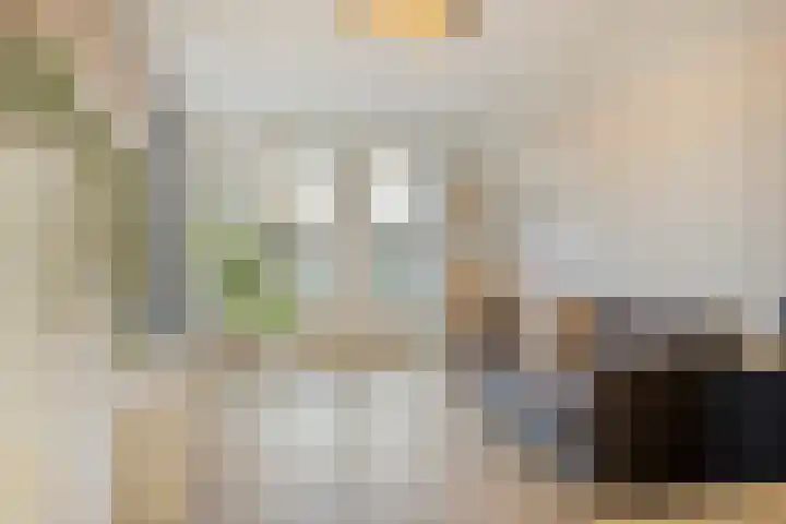Spekdam 8 Kortgene thumbnail 21