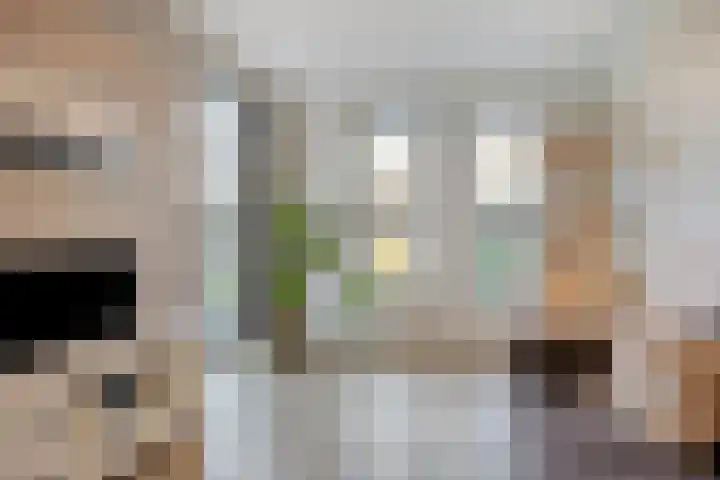 Spekdam 8 Kortgene thumbnail 22