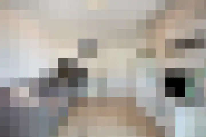 Spekdam 8 Kortgene thumbnail 23