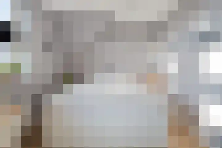 Spekdam 8 Kortgene thumbnail 27