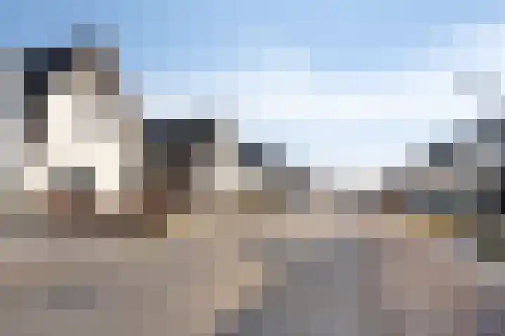 Spekdam 8 Kortgene foto 3