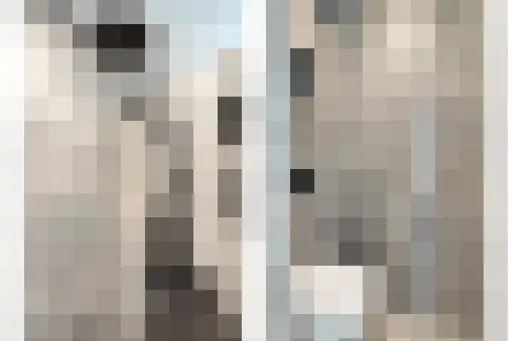 Spekdam 8 Kortgene thumbnail 30