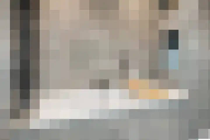 Spekdam 8 Kortgene thumbnail 31