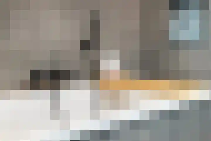 Spekdam 8 Kortgene thumbnail 32