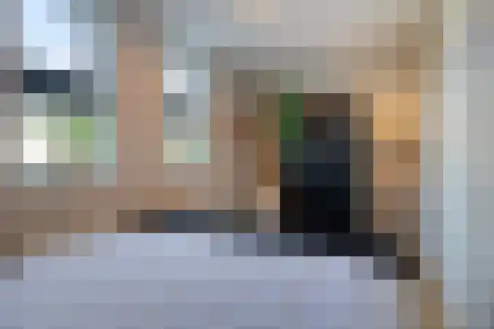 Spekdam 8 Kortgene thumbnail 35
