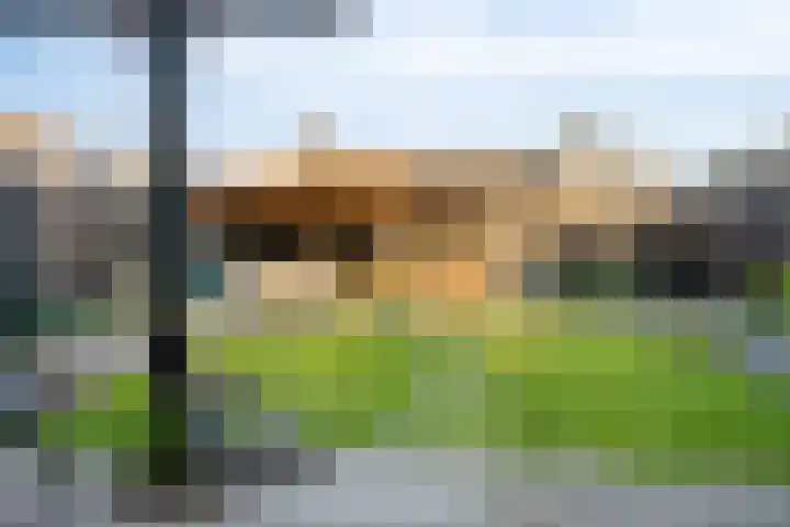 Spekdam 8 Kortgene thumbnail 36