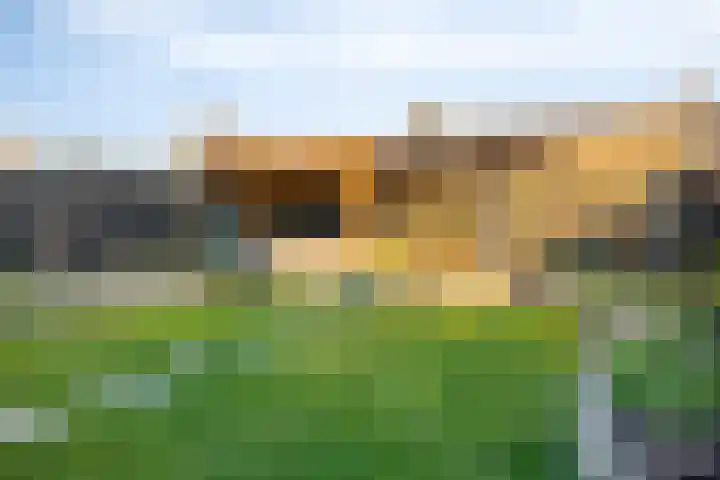 Spekdam 8 Kortgene thumbnail 37