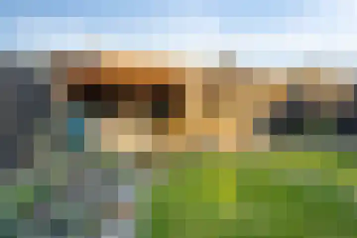 Spekdam 8 Kortgene thumbnail 38