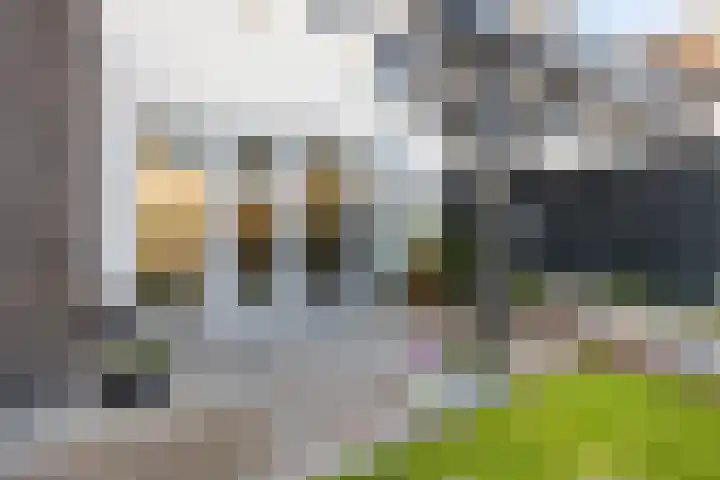 Spekdam 8 Kortgene thumbnail 39