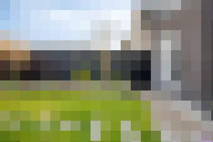Spekdam 8 Kortgene thumbnail 40