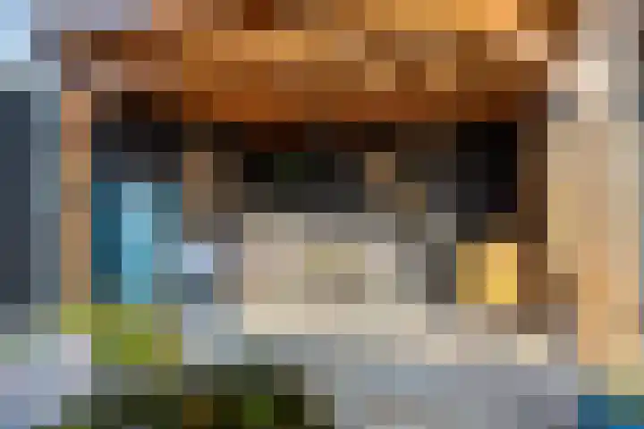 Spekdam 8 Kortgene thumbnail 41