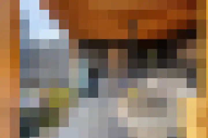 Spekdam 8 Kortgene thumbnail 42