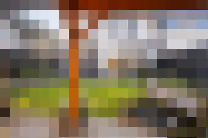 Spekdam 8 Kortgene thumbnail 43