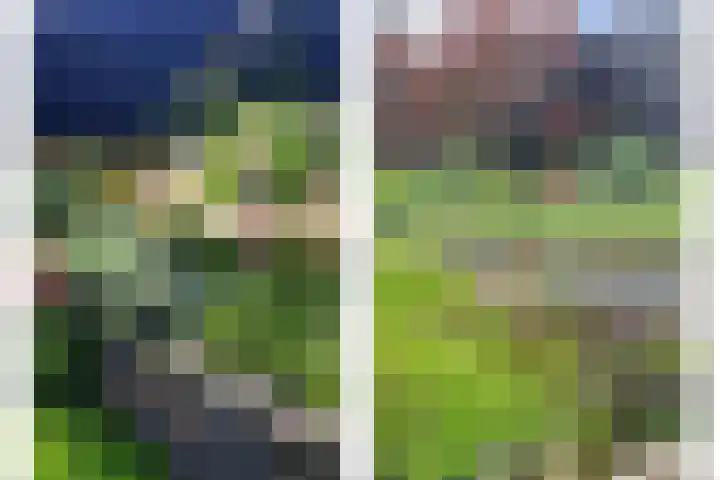 Spekdam 8 Kortgene thumbnail 44