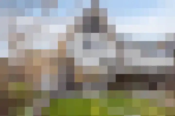 Spekdam 8 Kortgene thumbnail 45