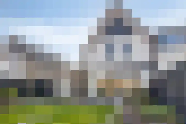 Spekdam 8 Kortgene thumbnail 46