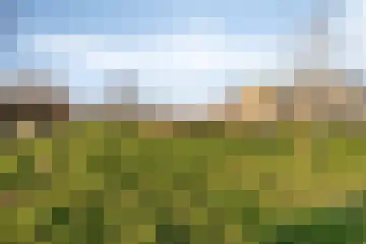 Spekdam 8 Kortgene thumbnail 47