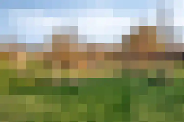 Spekdam 8 Kortgene thumbnail 48