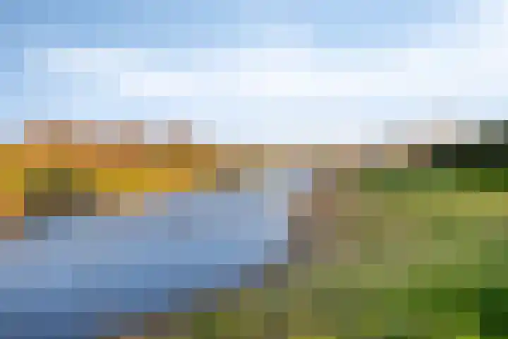 Spekdam 8 Kortgene thumbnail 49