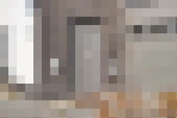 Spekdam 8 Kortgene thumbnail 5
