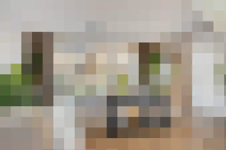 Spekdam 8 Kortgene thumbnail 9