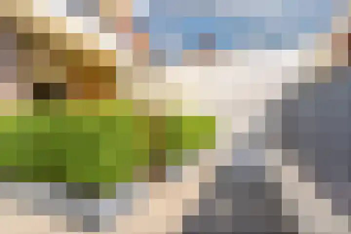 Spekhouwerstraat 7 Voerendaal thumbnail 11
