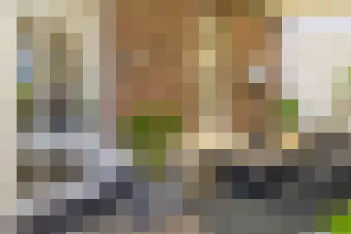 Spekhouwerstraat 7 Voerendaal thumbnail 12