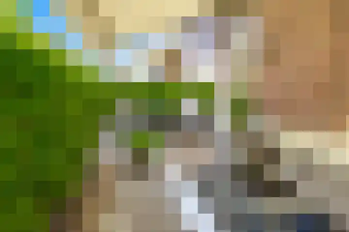 Spekhouwerstraat 7 Voerendaal thumbnail 13
