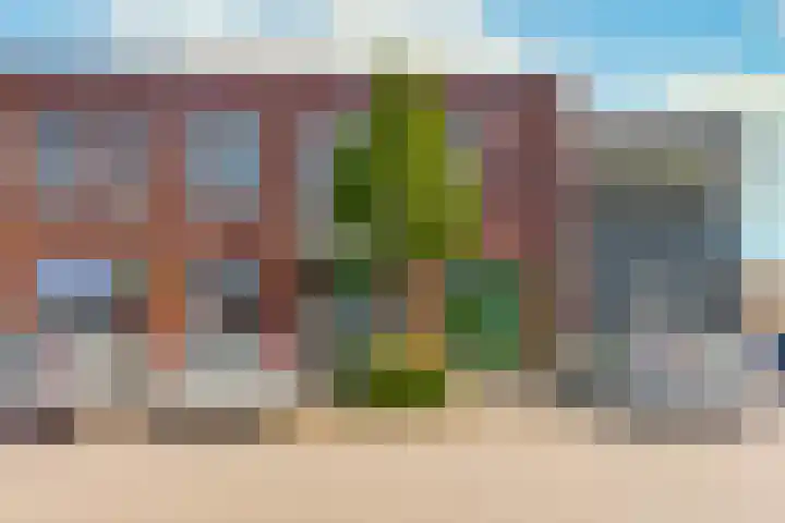 Spekhouwerstraat 7 Voerendaal thumbnail 16