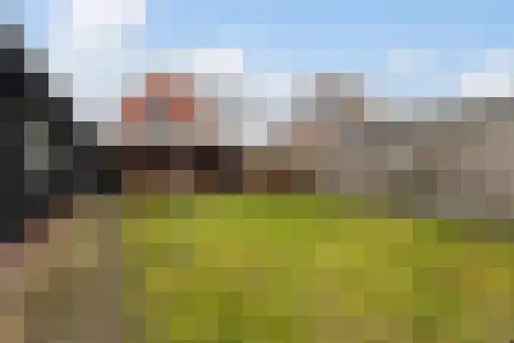 Spekloane 18 Boelenslaan thumbnail 10