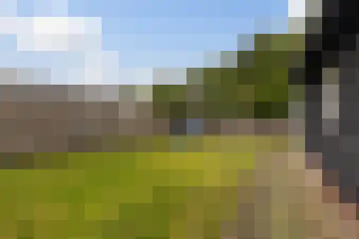 Spekloane 18 Boelenslaan thumbnail 11