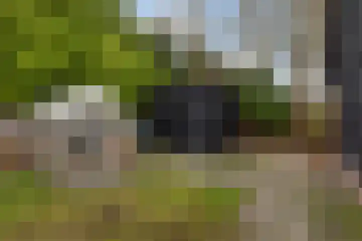 Spekloane 18 Boelenslaan thumbnail 14