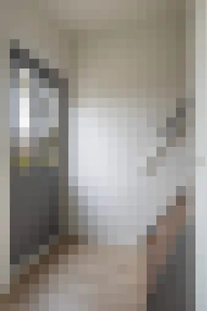 Spekloane 18 Boelenslaan thumbnail 19