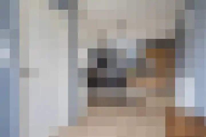 Spekloane 18 Boelenslaan thumbnail 20