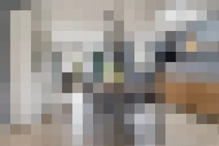 Spekloane 18 Boelenslaan thumbnail 23