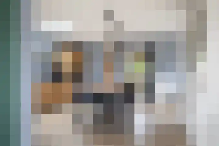 Spekloane 18 Boelenslaan thumbnail 27