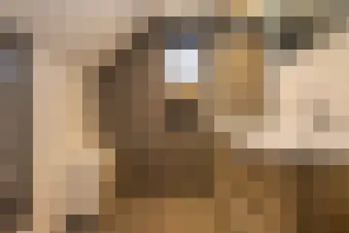 Spekloane 18 Boelenslaan thumbnail 4